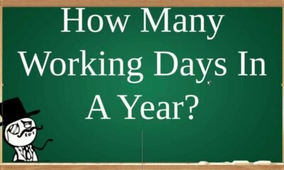 How Many Working Days in a Year