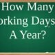 How Many Working Days in a Year