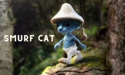 Blue Smurf Cat Meme