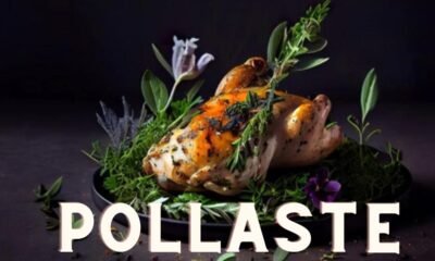 Pollaste