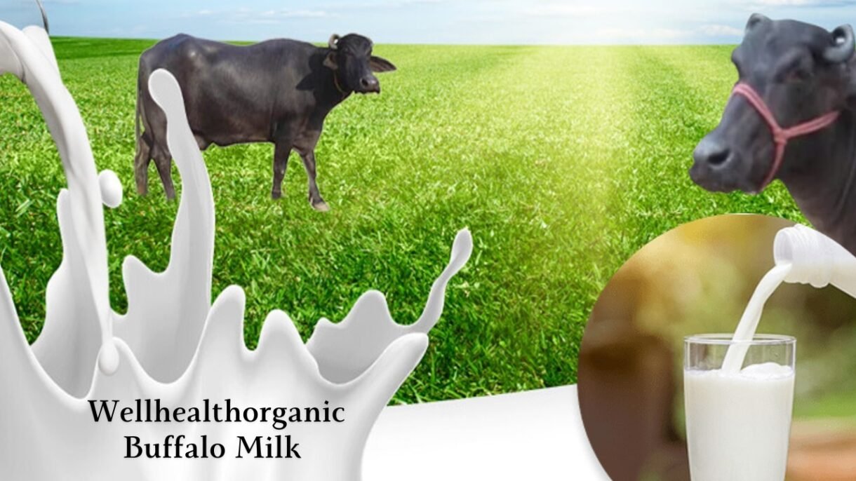 Wellhealthorganic Buffalo Milk